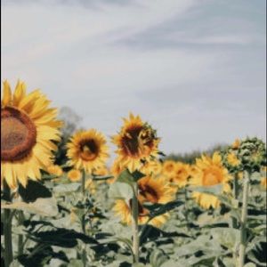 Meet your Posher, Chloe